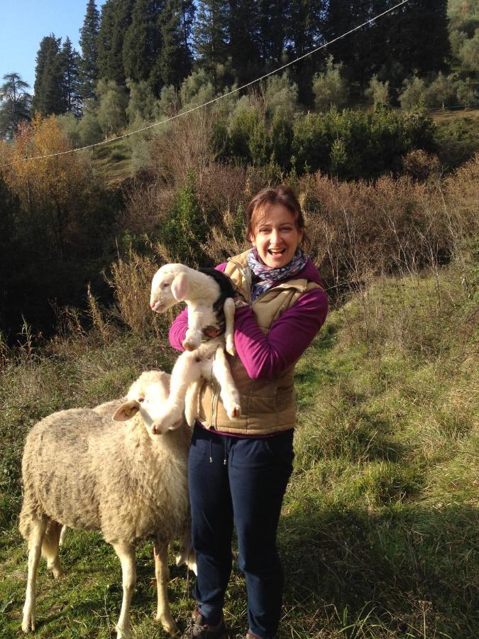 Agriturismo Le Murelle ลุคคา ภายนอก รูปภาพ