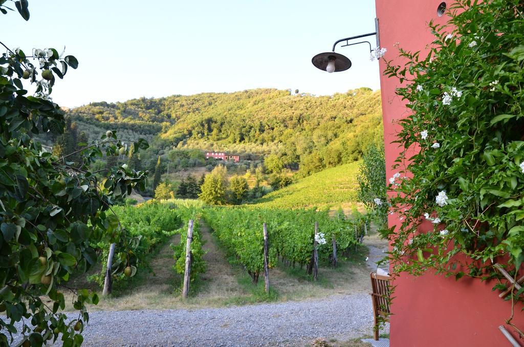 Agriturismo Le Murelle ลุคคา ภายนอก รูปภาพ