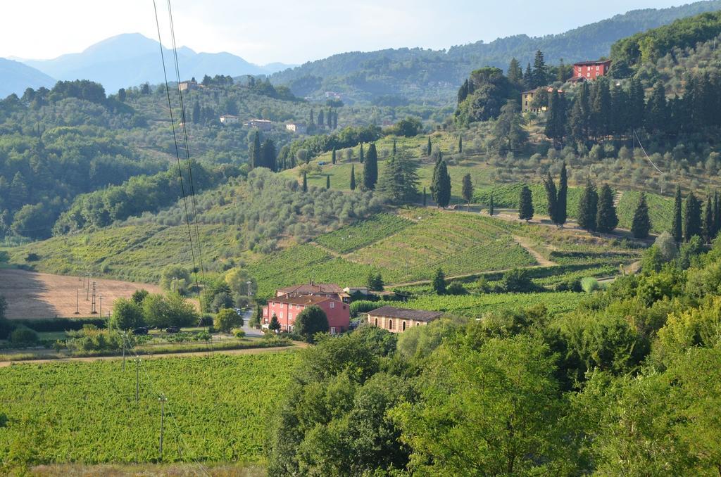 Agriturismo Le Murelle ลุคคา ภายนอก รูปภาพ