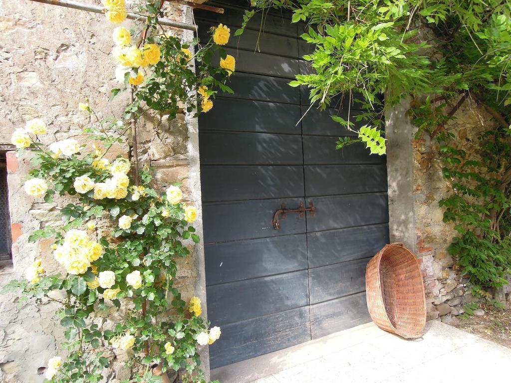 Agriturismo Le Murelle ลุคคา ภายนอก รูปภาพ