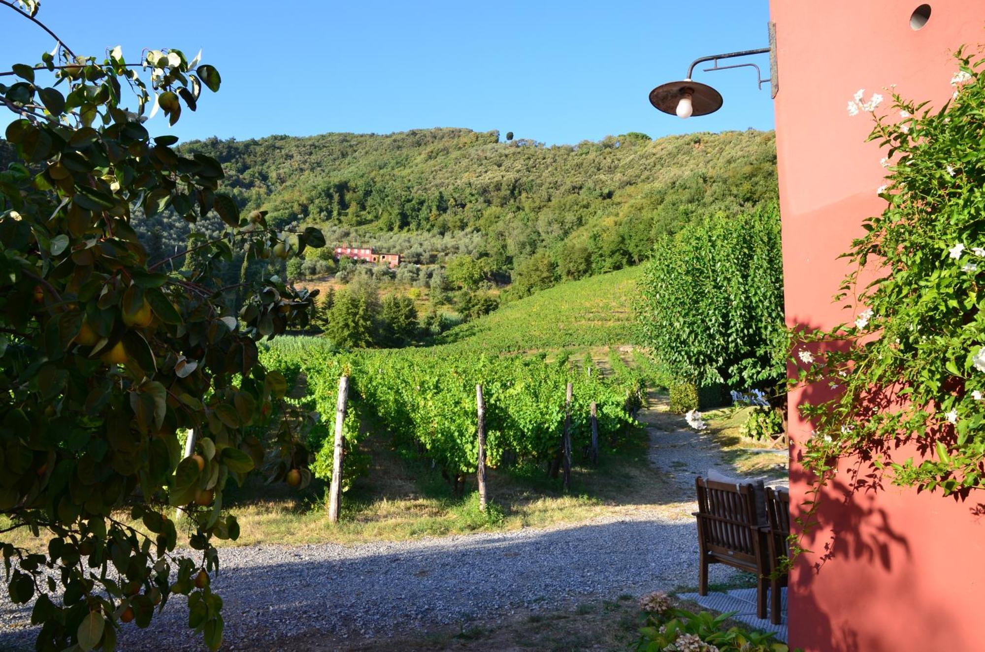 Agriturismo Le Murelle ลุคคา ภายนอก รูปภาพ