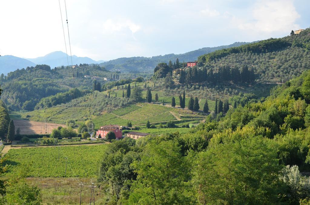 Agriturismo Le Murelle ลุคคา ภายนอก รูปภาพ