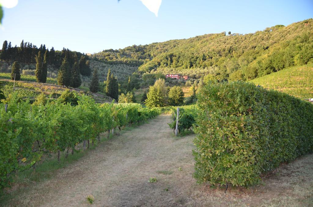 Agriturismo Le Murelle ลุคคา ภายนอก รูปภาพ